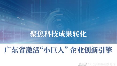 仲毅咨詢 聚焦科技成果轉化，激活廣東中小企業創新引擎